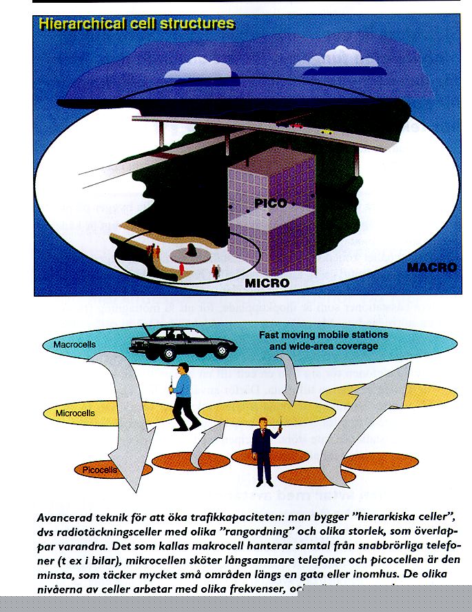 Figur.  Hierarkisk cellstruktur.